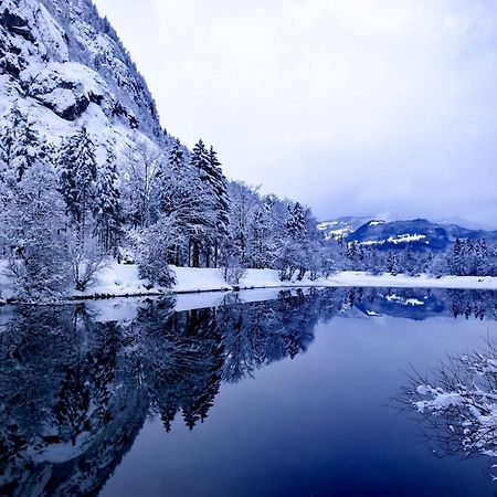 Ferienlounge Bluntausee Daire Golling an der Salzach Dış mekan fotoğraf